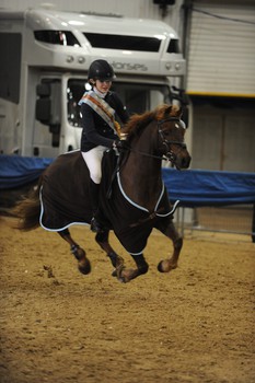 Avon young showjumper Jordan Phelps claims the  Animo Pony Discovery as her own